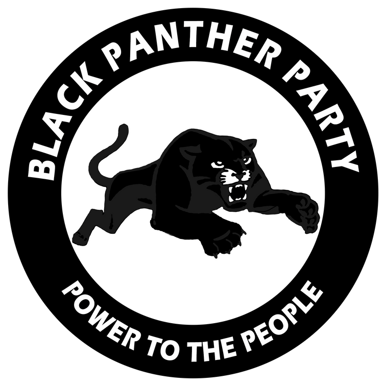 Interview with the Black Panther Party for Self Defense (Washington State)